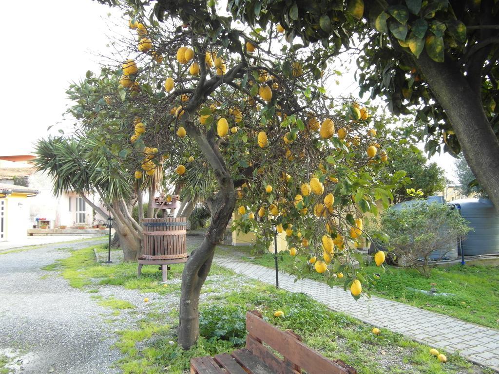 Il Gelsomino Ritrovato Séjour à la ferme Milazzo