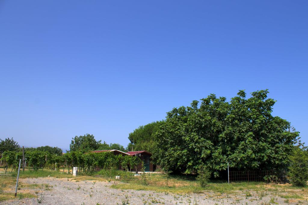 Il Gelsomino Ritrovato Séjour à la ferme